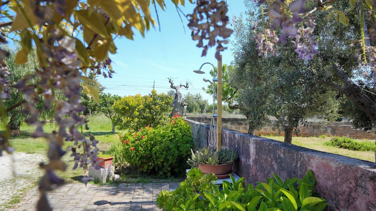 Photo of Outdoor in Monopoli