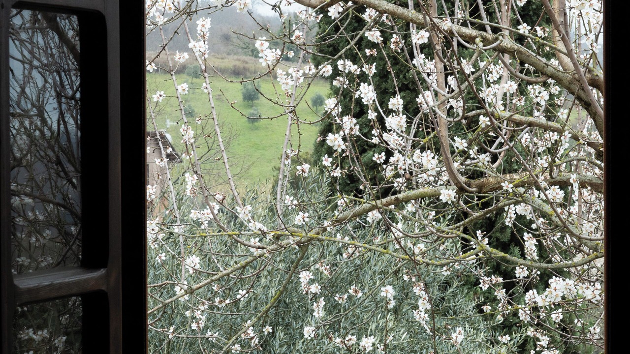 Photo of Others in Poderi