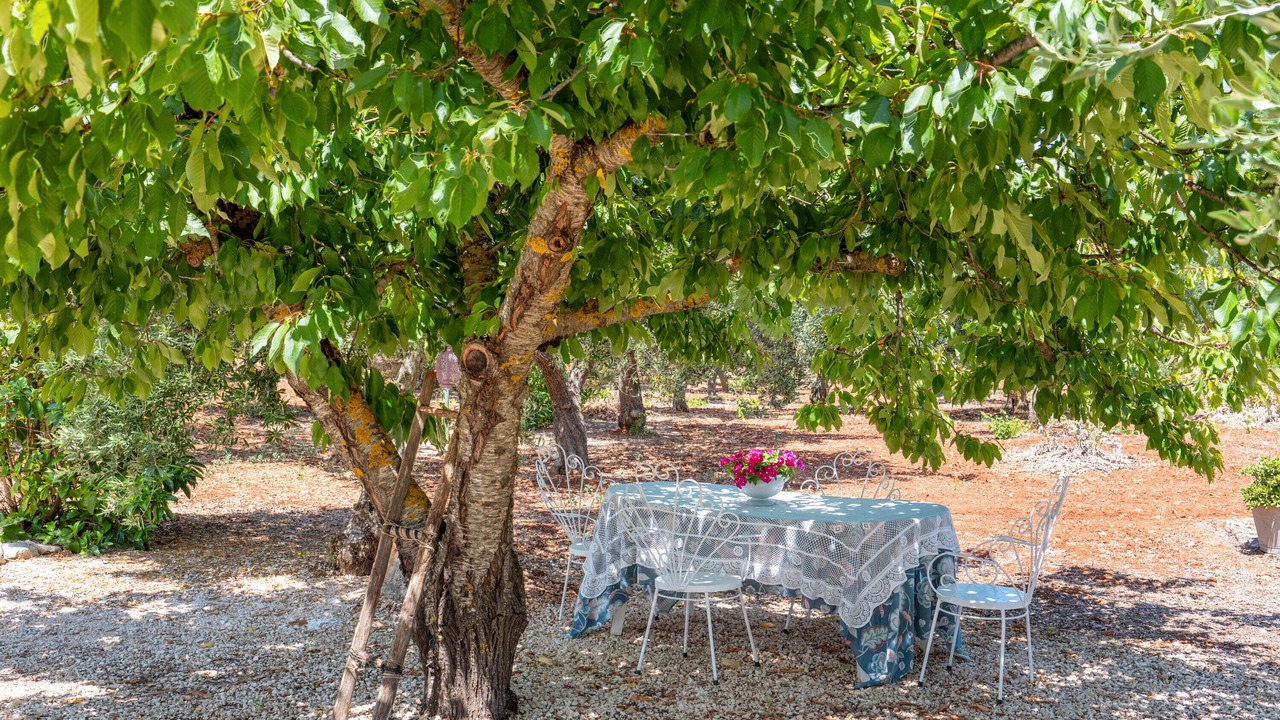 Photo of Outdoor in Martina Franca