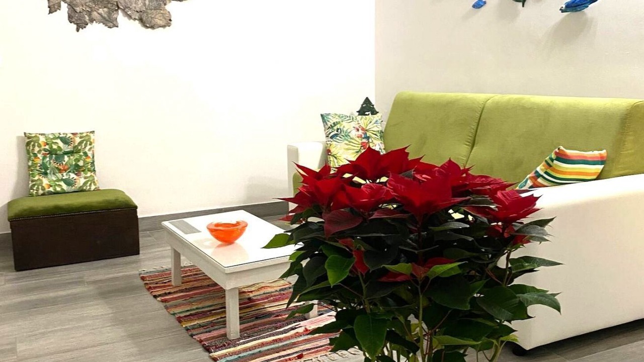 Photo of Livingroom in Bisceglie