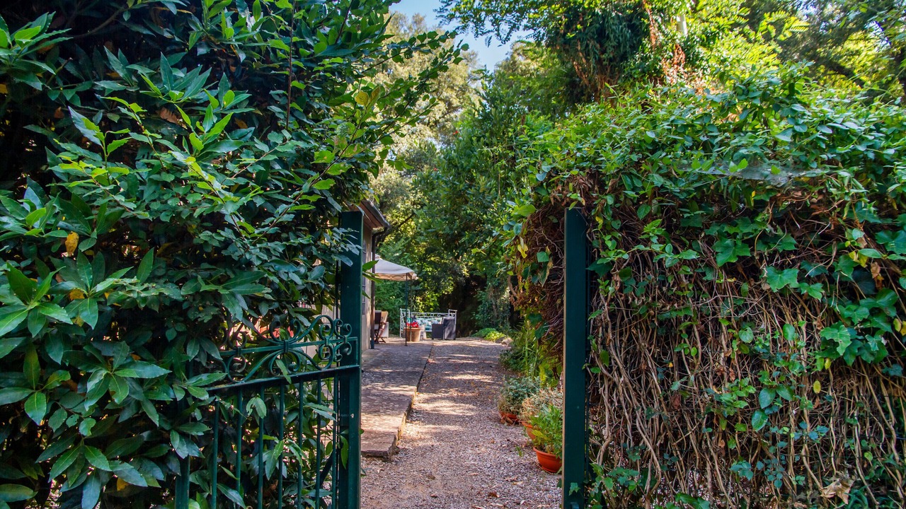 Photo of Outdoor in Grosseto