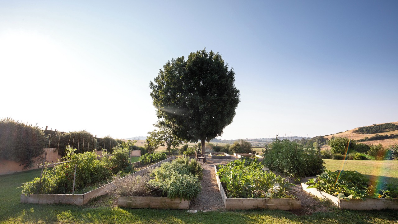Photo of Outdoor in Capalbio