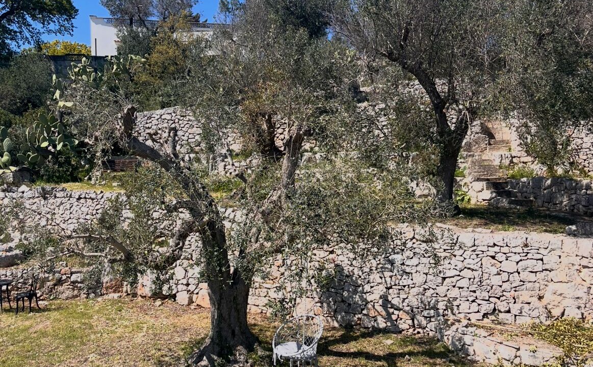 Photo of Outdoor in Ostuni