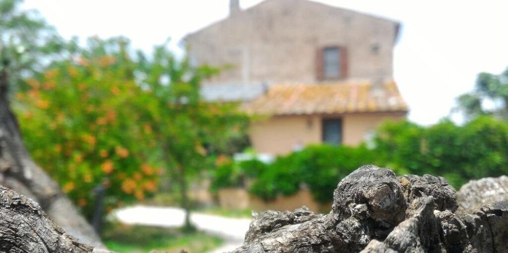 Photo of Outdoor in Viterbo