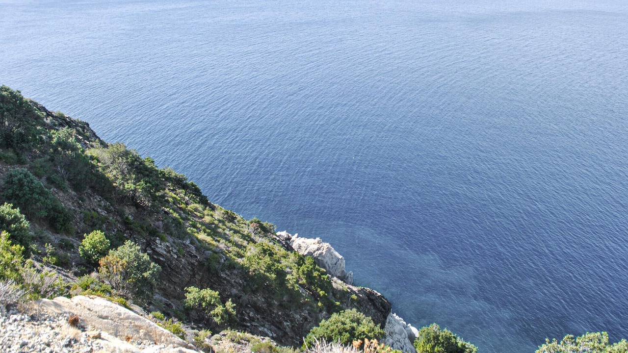 Photo of Others in Marina di Campo