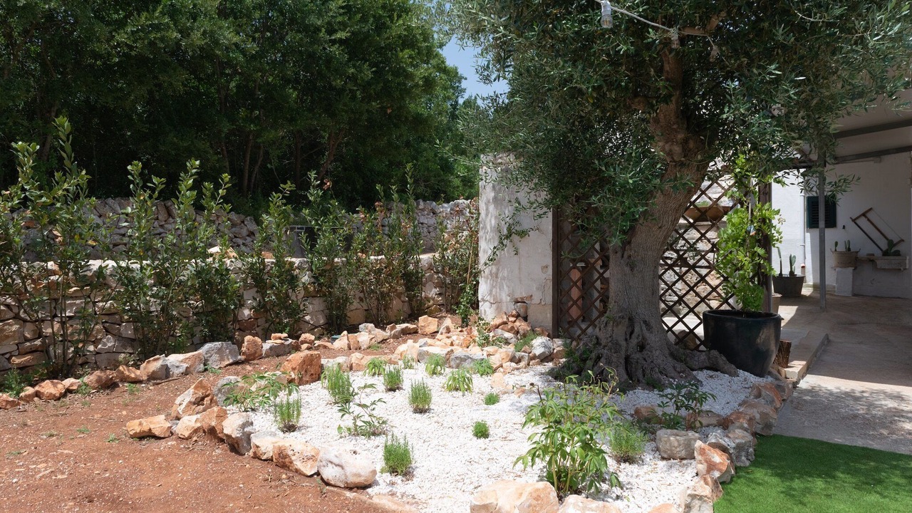 Photo of Outdoor in Ostuni