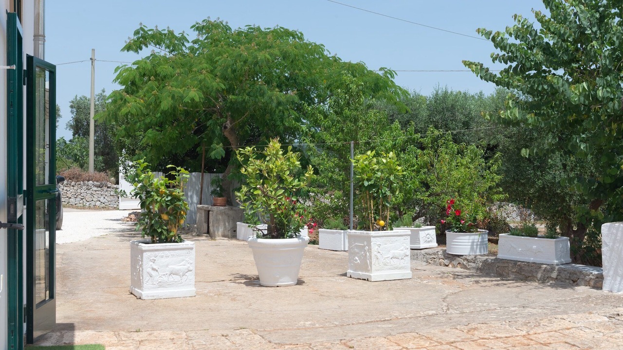 Photo of Outdoor in Ostuni