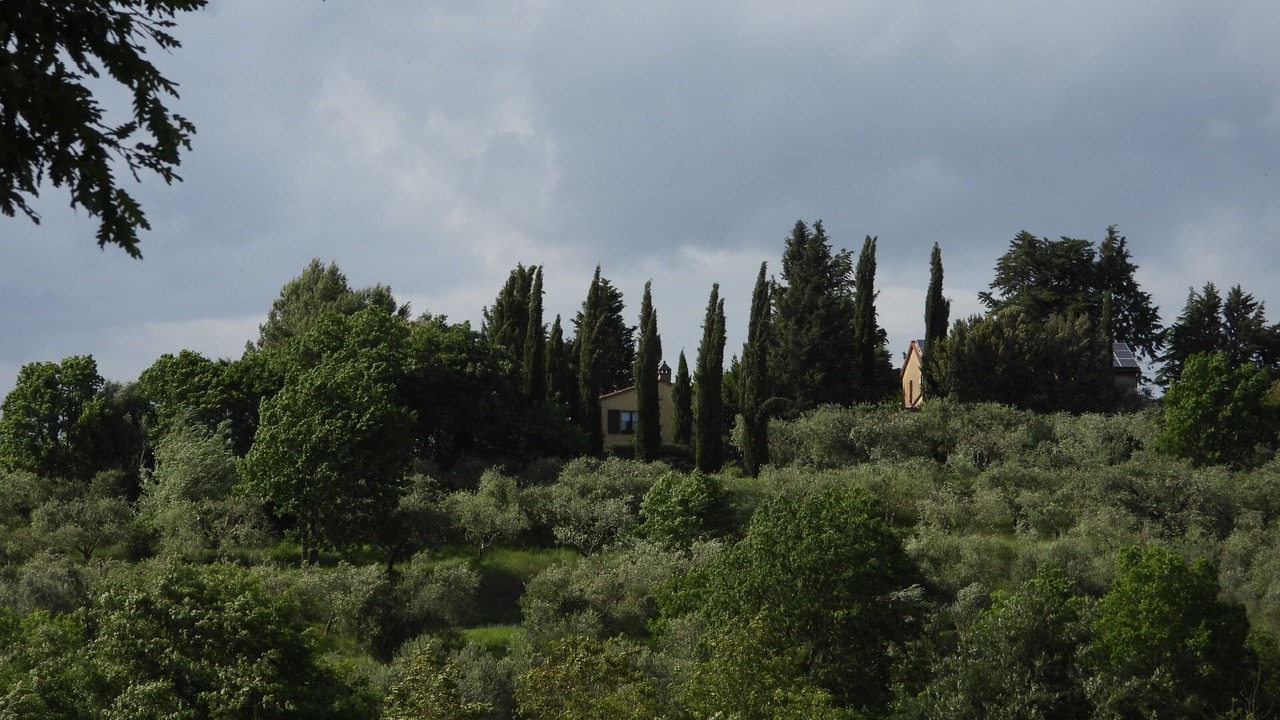 Photo of Others in Po' Bandino