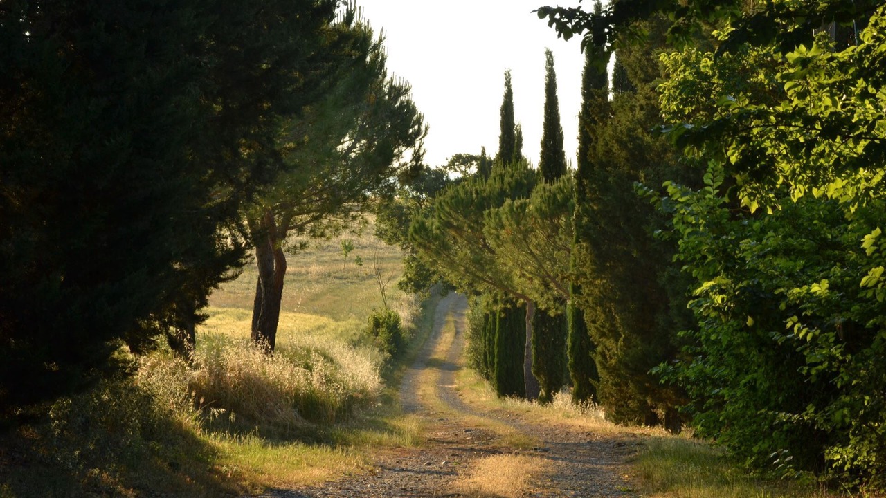 Photo of Others in Po' Bandino