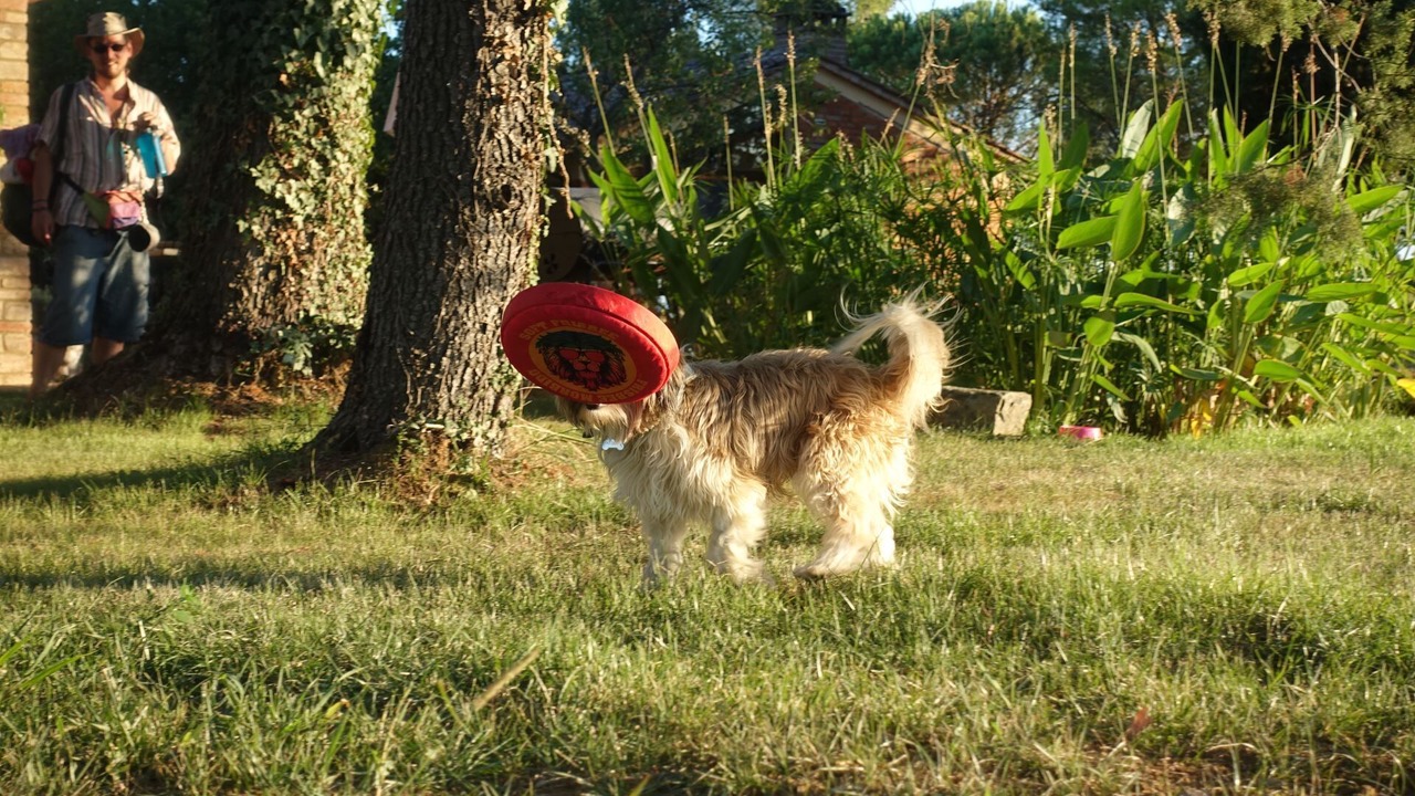 Photo of Outdoor in Po' Bandino