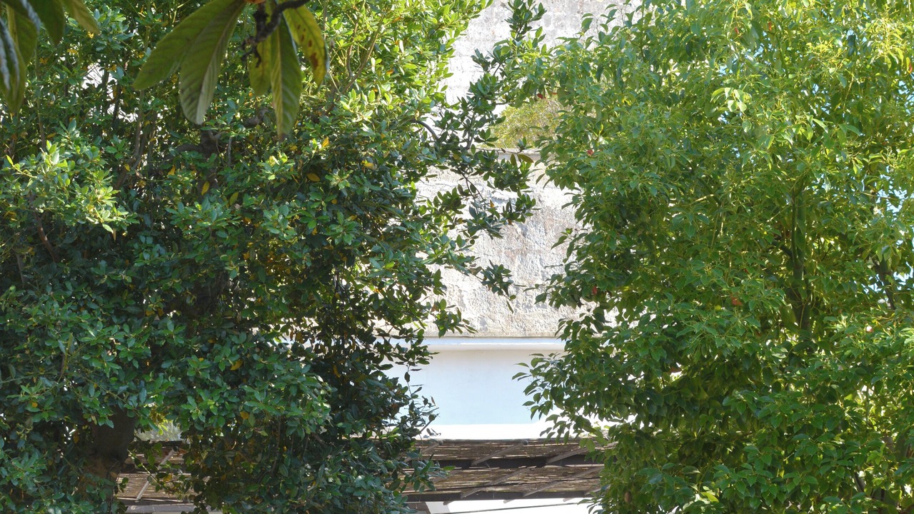 Photo of Outdoor in Andrano