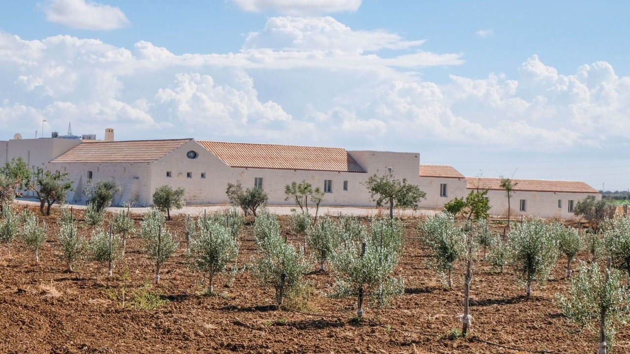 Photo of Others in Brindisi