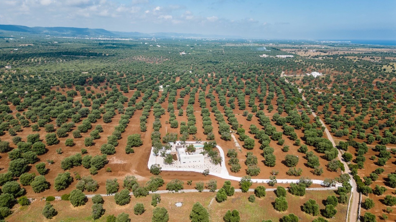 Photo of Outdoor in Ostuni