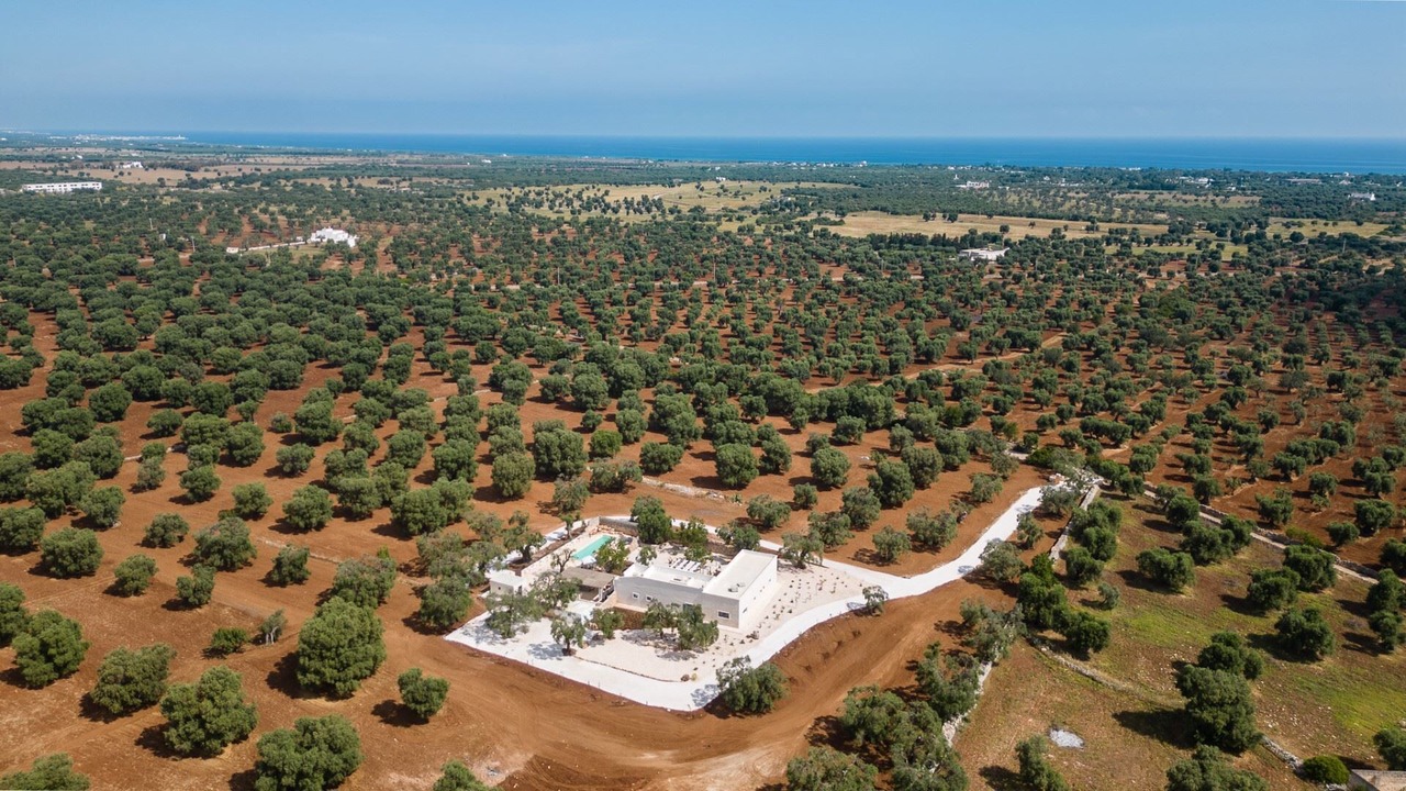 Photo of Outdoor in Ostuni