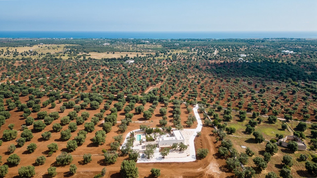 Photo of Outdoor in Ostuni