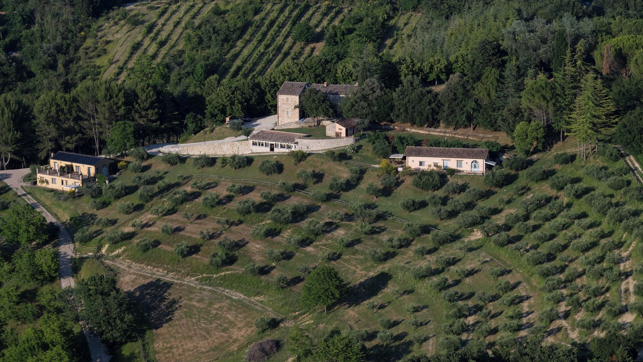 Photo of Outdoor in Montelaguardia