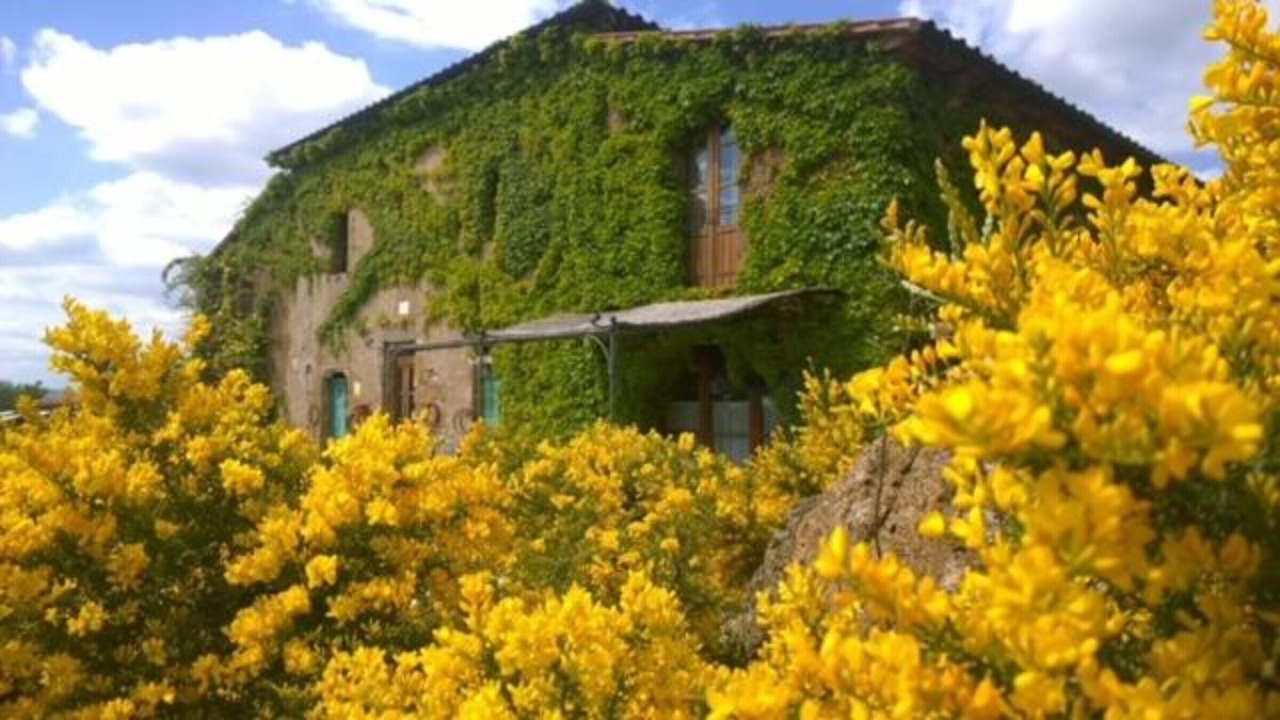 Photo of Outdoor in Sorano