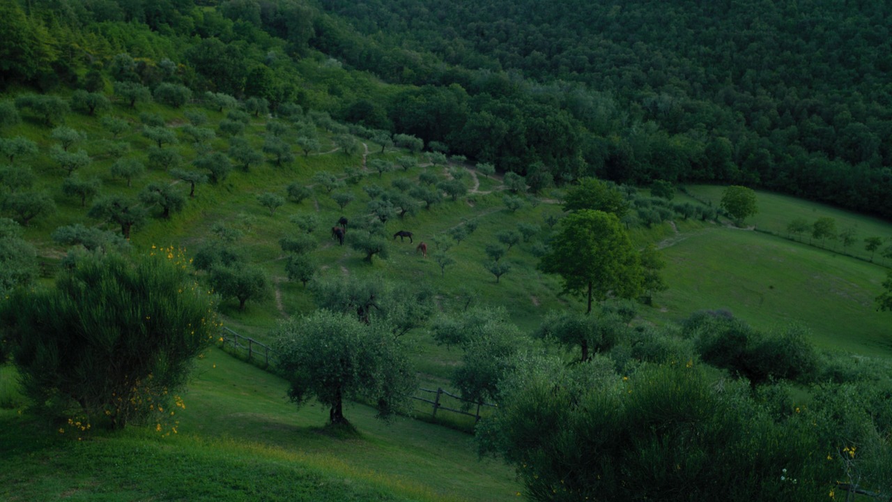 Photo of Others in Montelaguardia