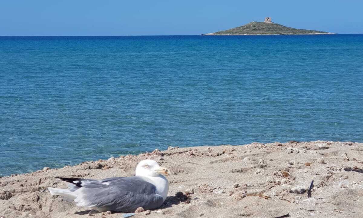 Photo of Others in Isola delle Femmine