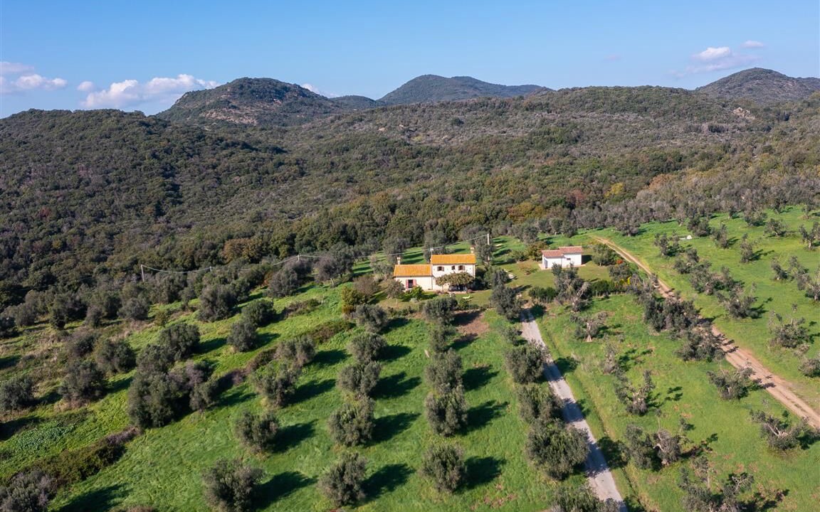 Photo of Outdoor in Cerveteri