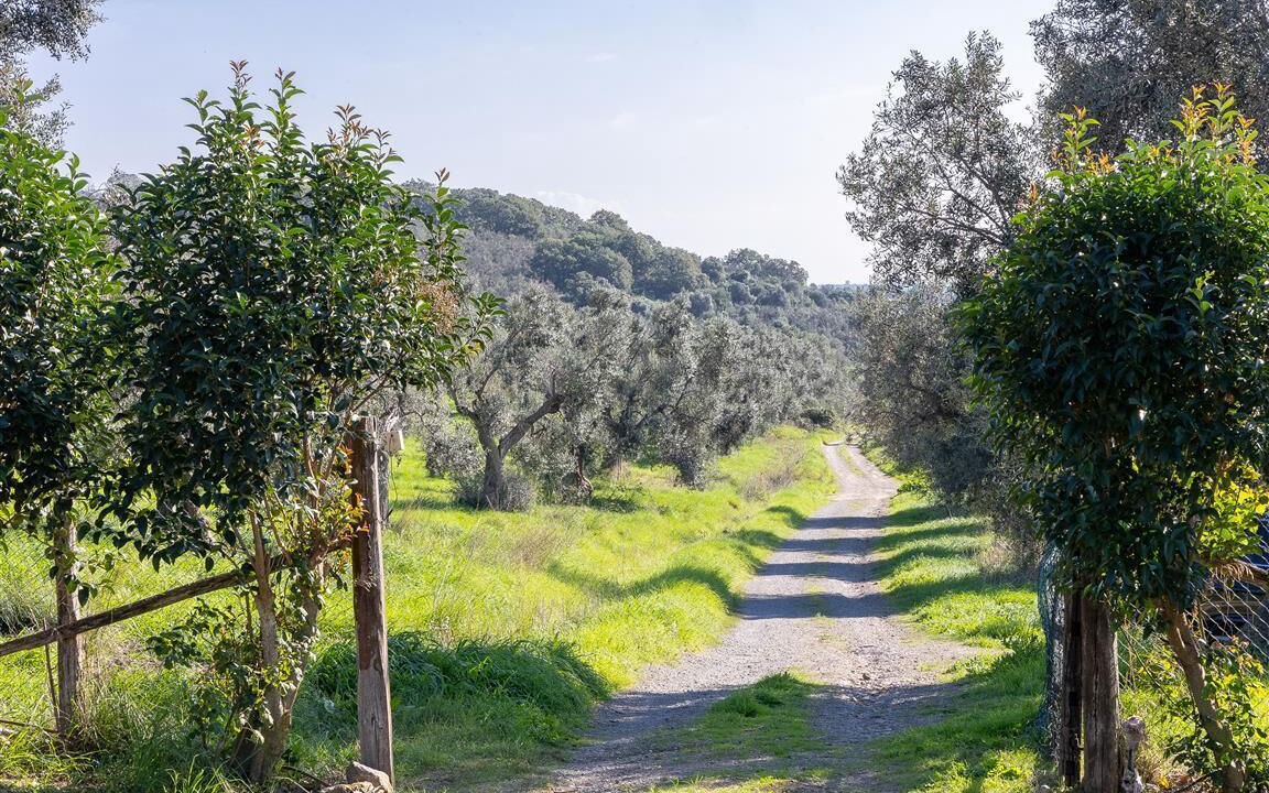 Photo of Others in Cerveteri