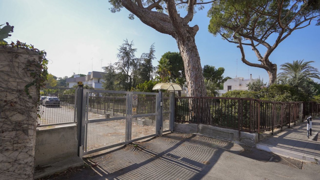 Photo of Outdoor in Santo Spirito