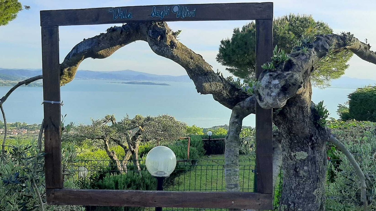 Photo of Outdoor in Passignano sul Trasimeno