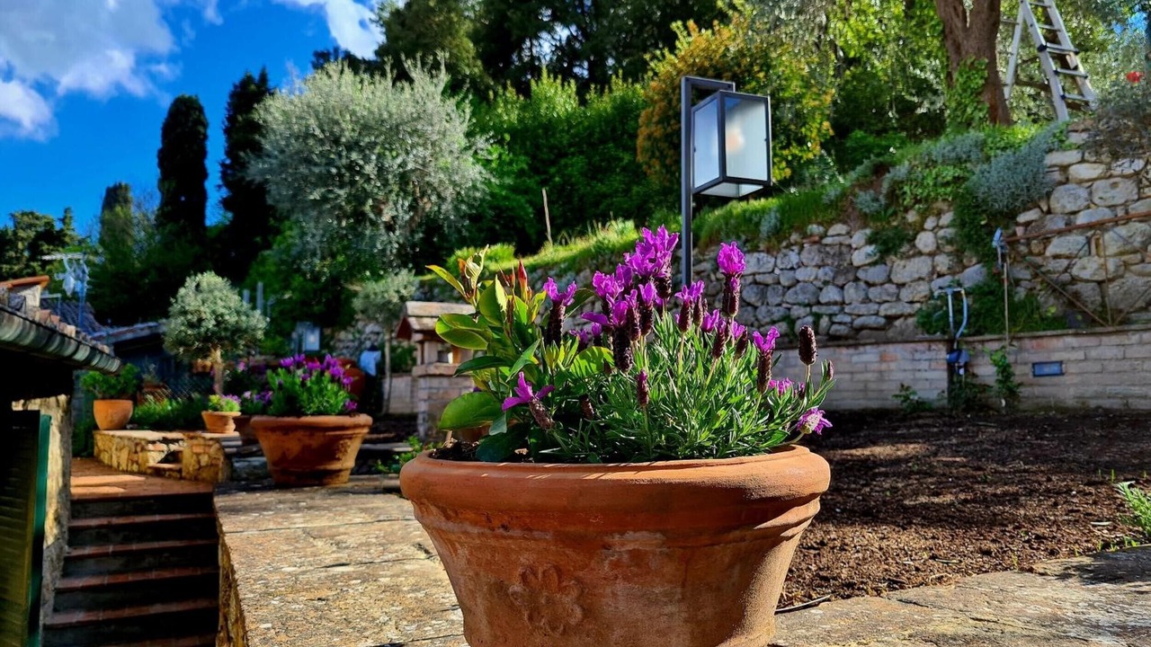 Photo of Outdoor in Cetona