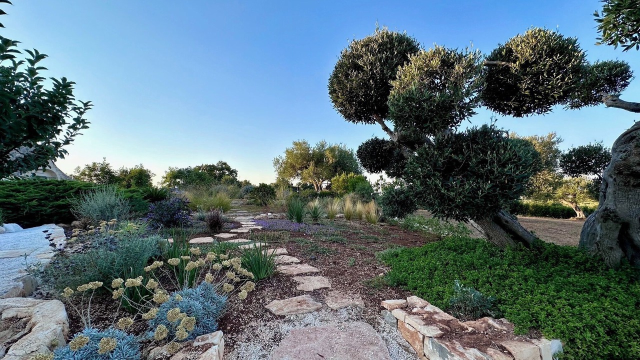 Photo of Outdoor in Martina Franca