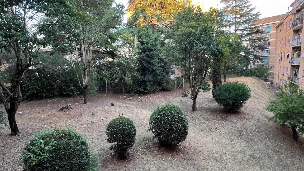 Photo of Outdoor in Zona I Val Melaina