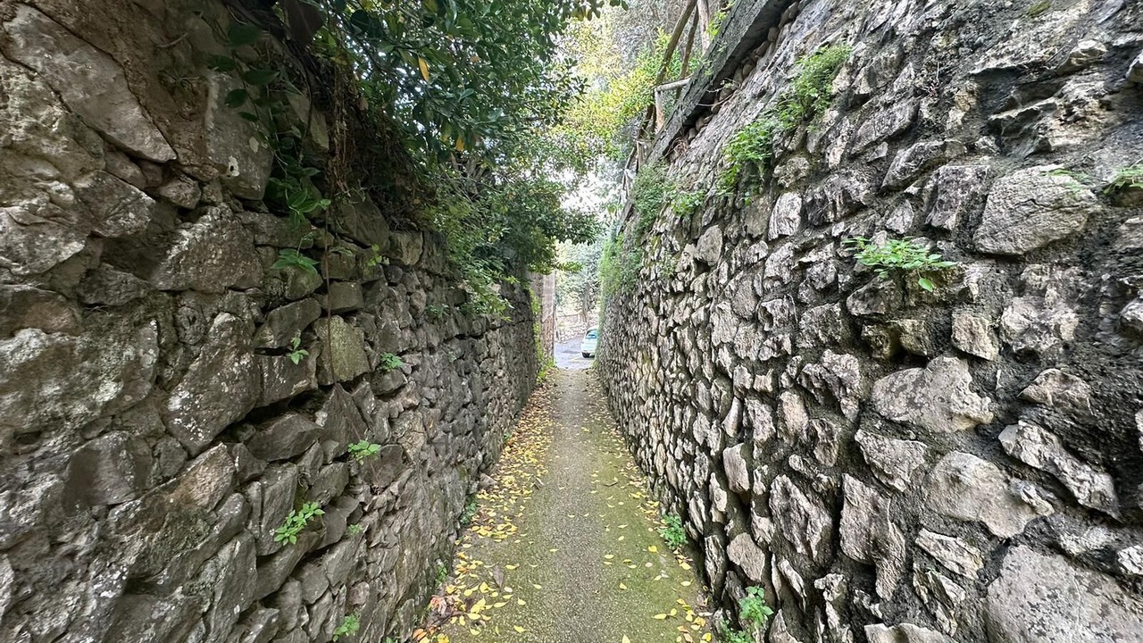 Photo of Others in Monte Chiaro