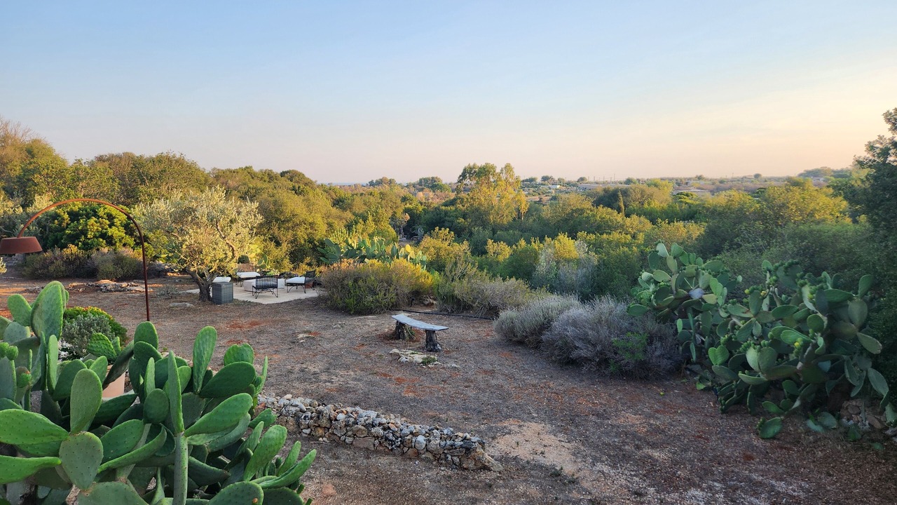Photo of Outdoor in Marina San Gregorio