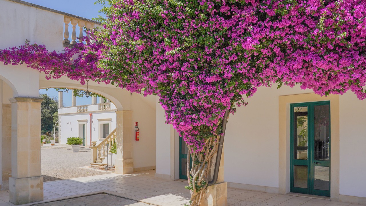 Photo of Outdoor in Castromediano
