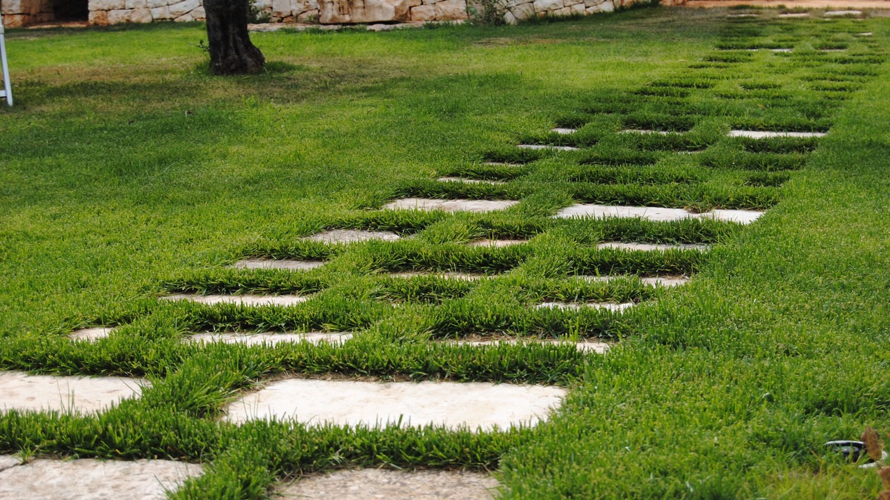 Photo of Outdoor in Cisternino