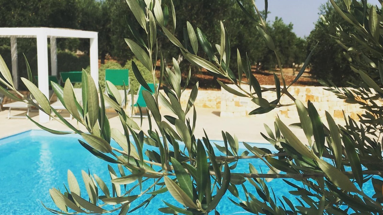 Photo of Outdoor in Cisternino