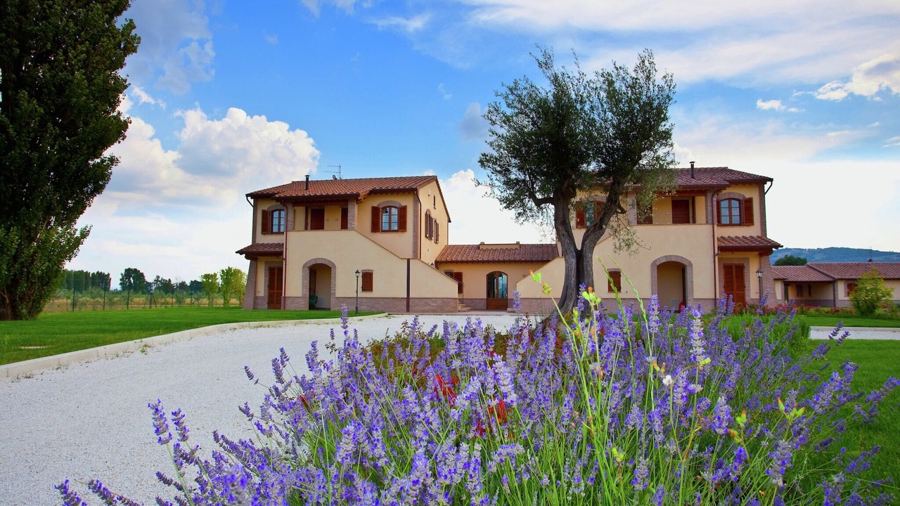 Photo of Outdoor in Cannara