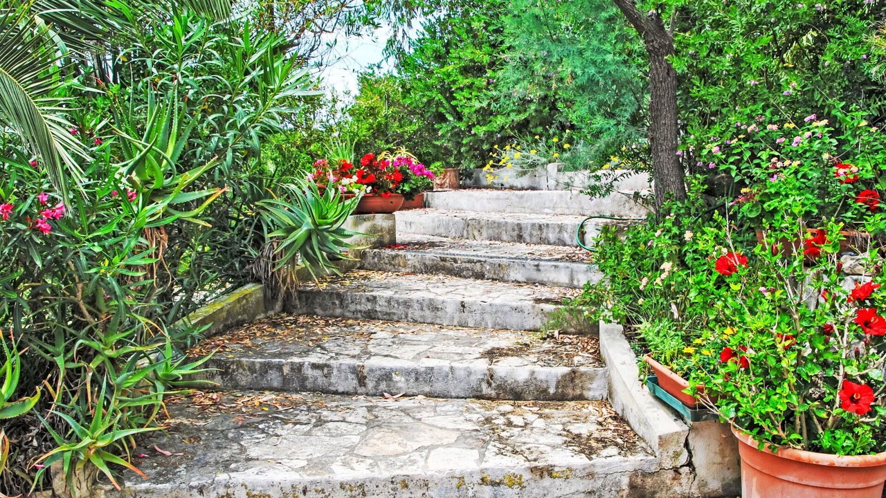 Photo of Others in Sperlonga