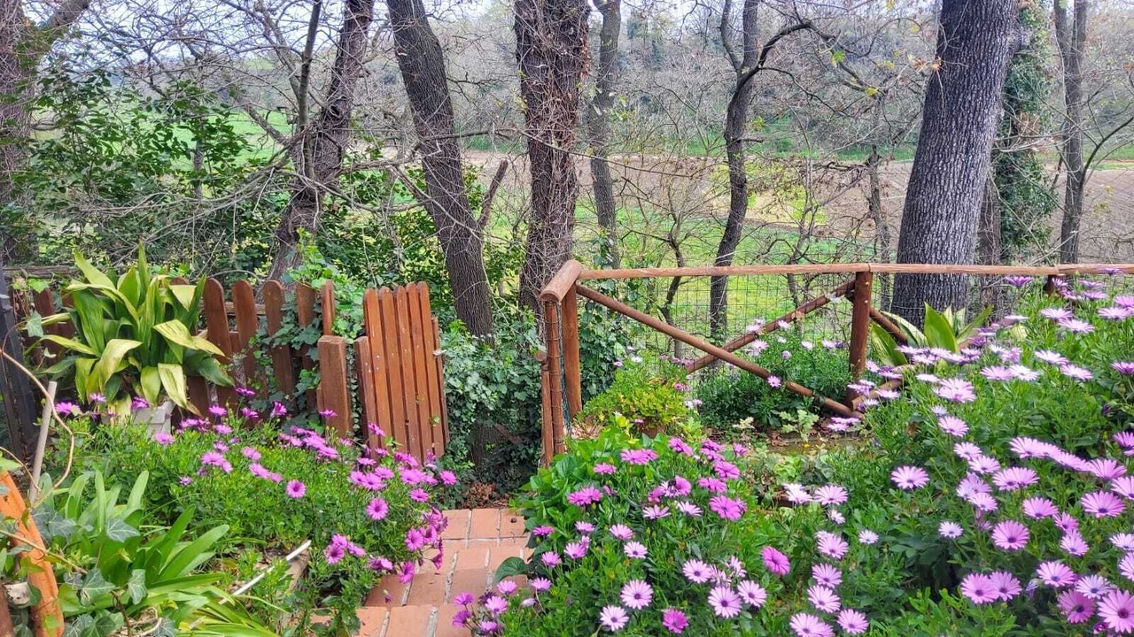 Photo of Outdoor in Zona XLV Castel di Guido