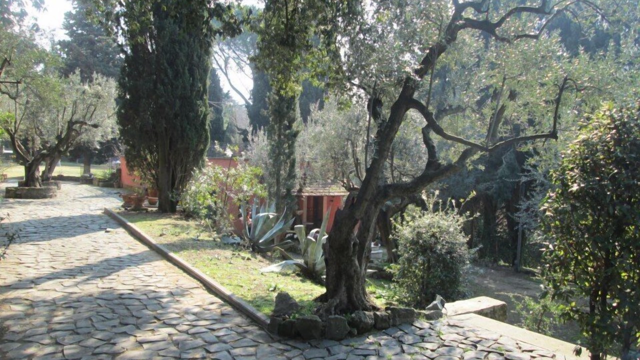 Photo of Outdoor in Grottaferrata