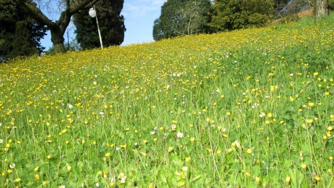 Photo of Outdoor in Grottaferrata