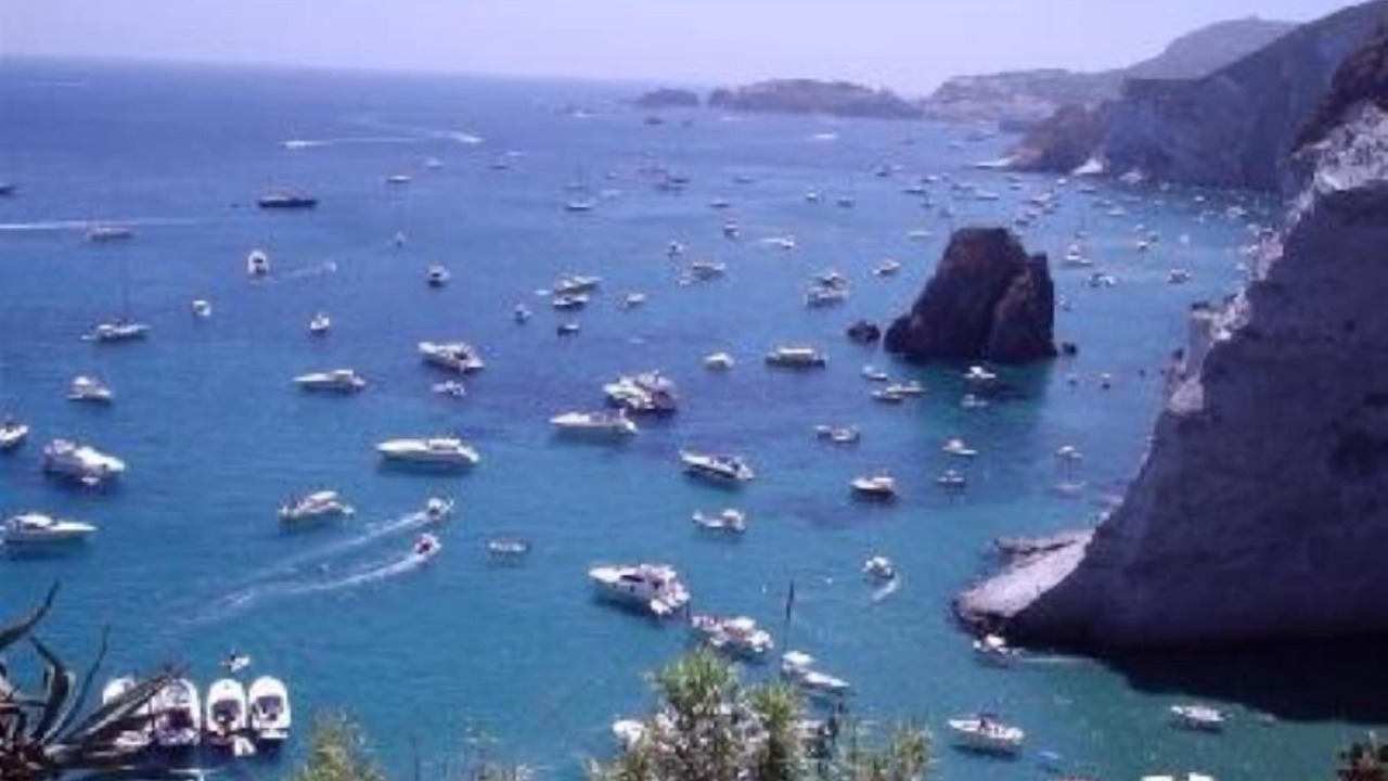 Photo of Others in Le Forna