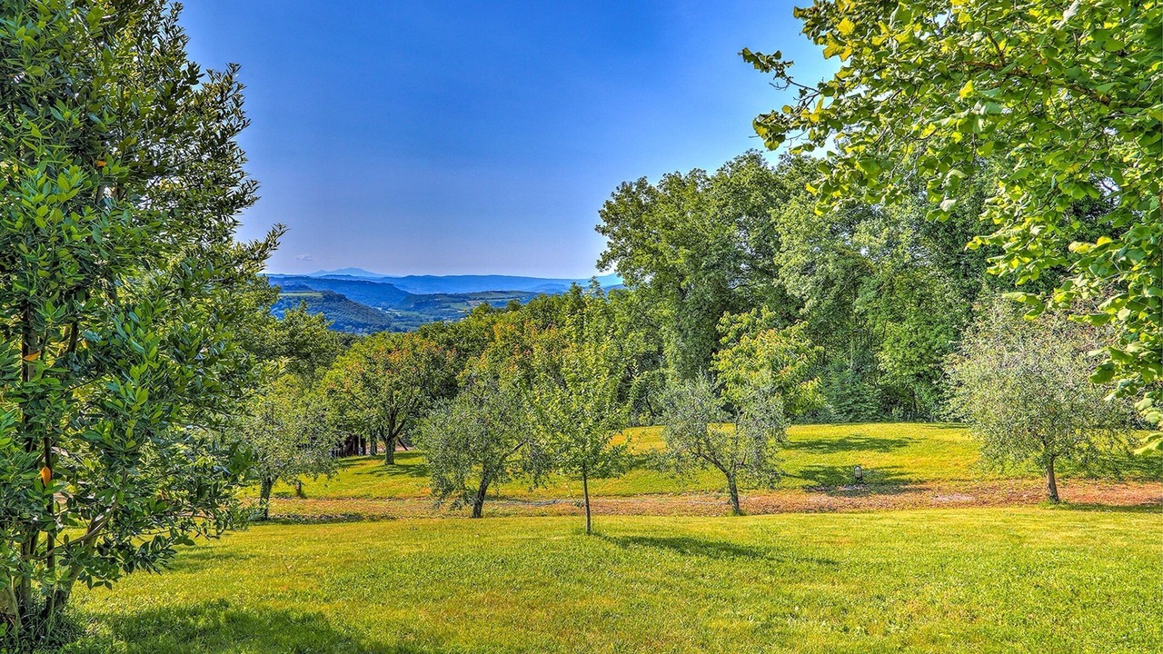 Photo of Outdoor in Corbara