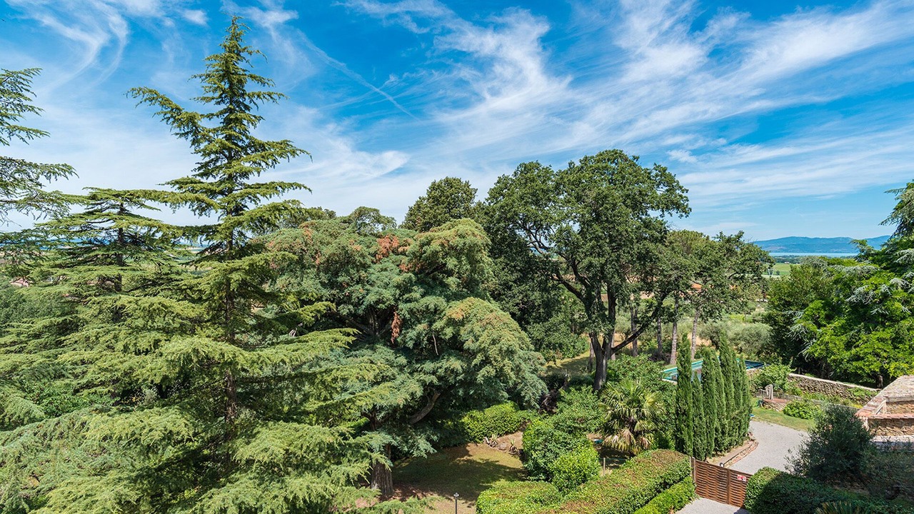Photo of Outdoor in Panicale