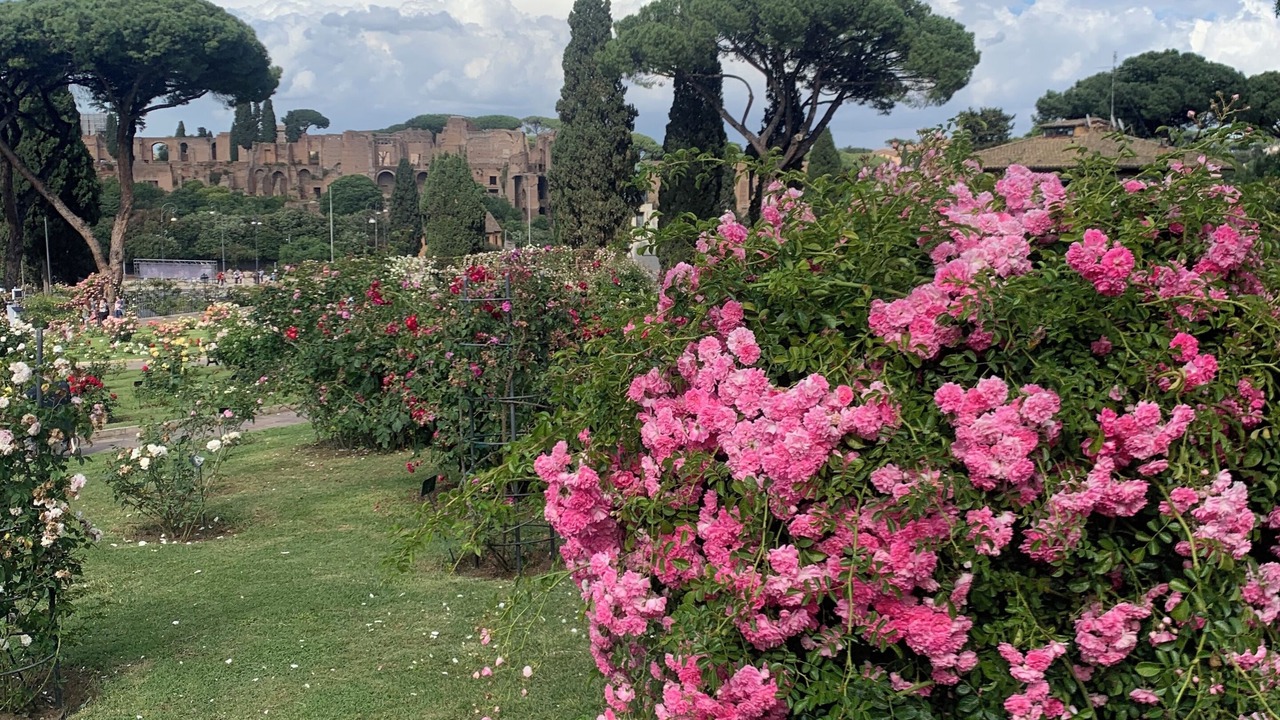 Photo of Outdoor in Rione V Ponte