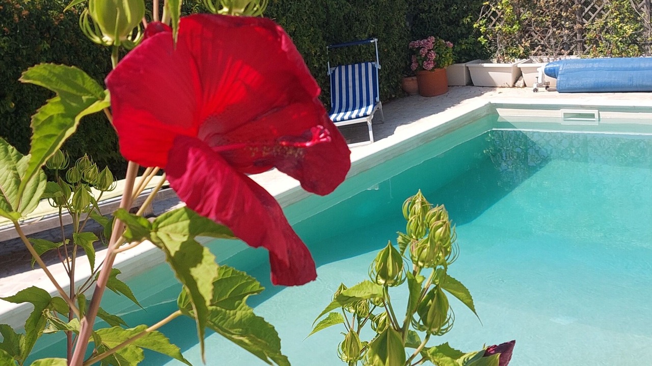 Photo of Outdoor in Locorotondo