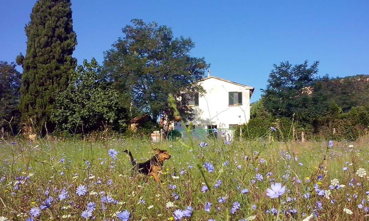 Photo of Others in Grosseto