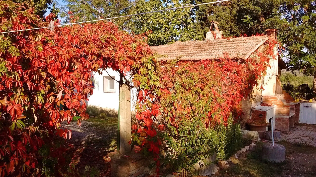 Photo of Outdoor in Grosseto