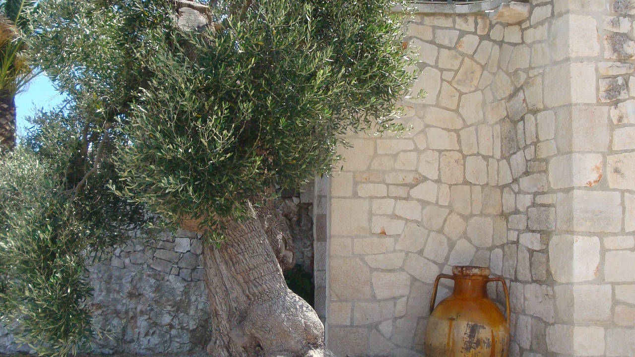 Photo of Outdoor in Ostuni