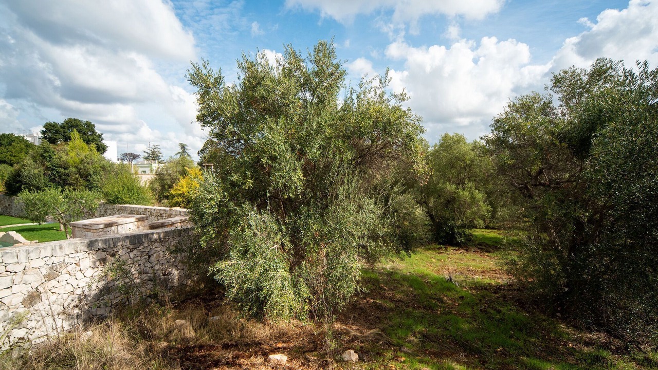 Photo of Others in Alberobello