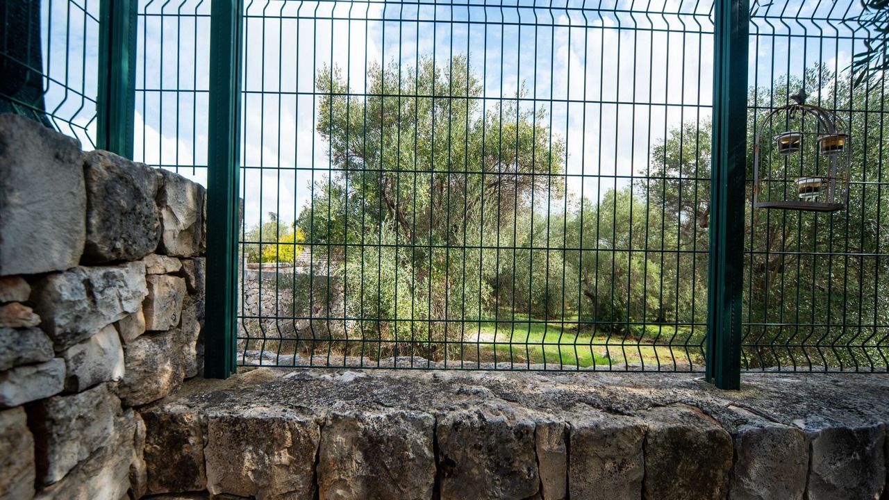 Photo of Outdoor in Alberobello
